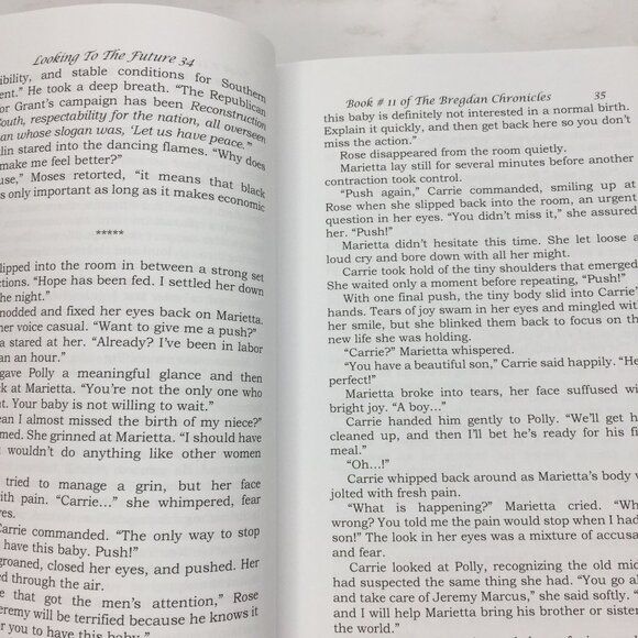 #11 Bregdan Chronicles Looking To The Future Oct 1867-Jun 169 Ginny Dye Romance - Picture 4 of 13